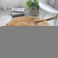Round Cloud Soft Plush Rug — material texture close-up