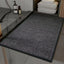 Ash Grey