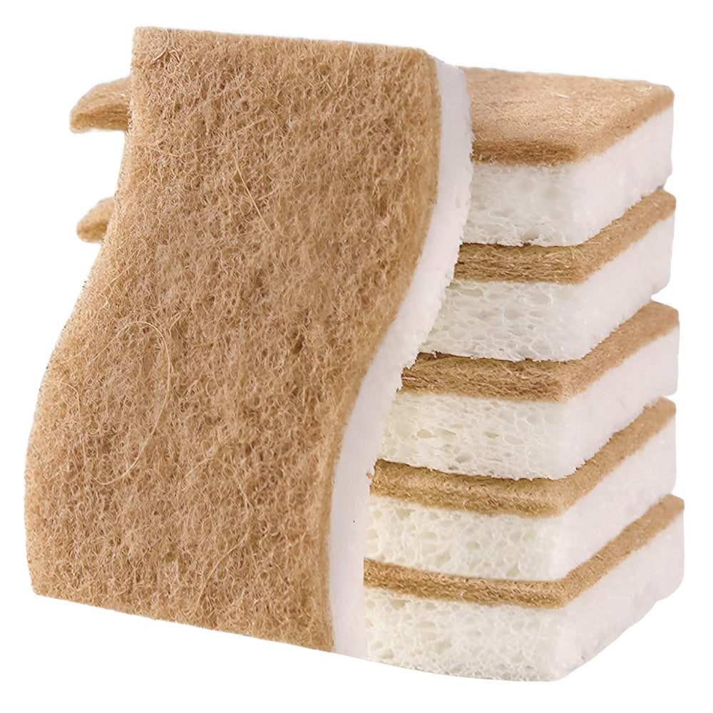 Coconut Fibre Natural Dish Sponge — size and scale reference