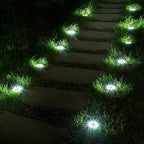 Solar Garden Ground Light Pack — product in use