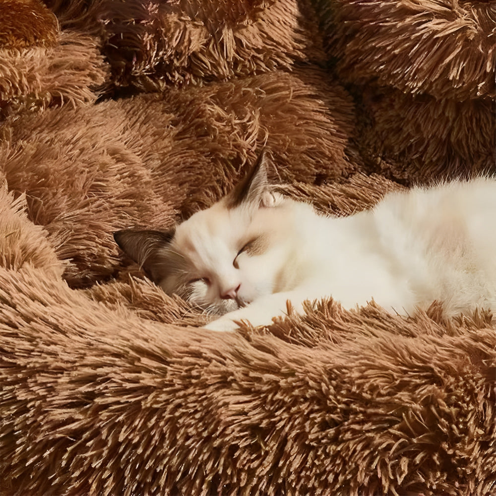 Furry Paw-Shaped Pet Bed — product detail view