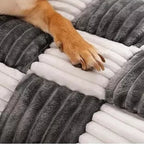 Pup-Approved Chunky Sofa Bed — lifestyle shot