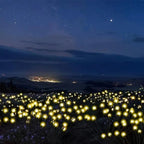 Solar Powered Firefly Garden Lights — alternate angle view