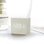 Ivory White