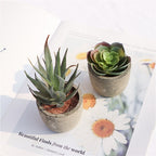 Verdea Artificial Succulent Plant Decor — lifestyle shot