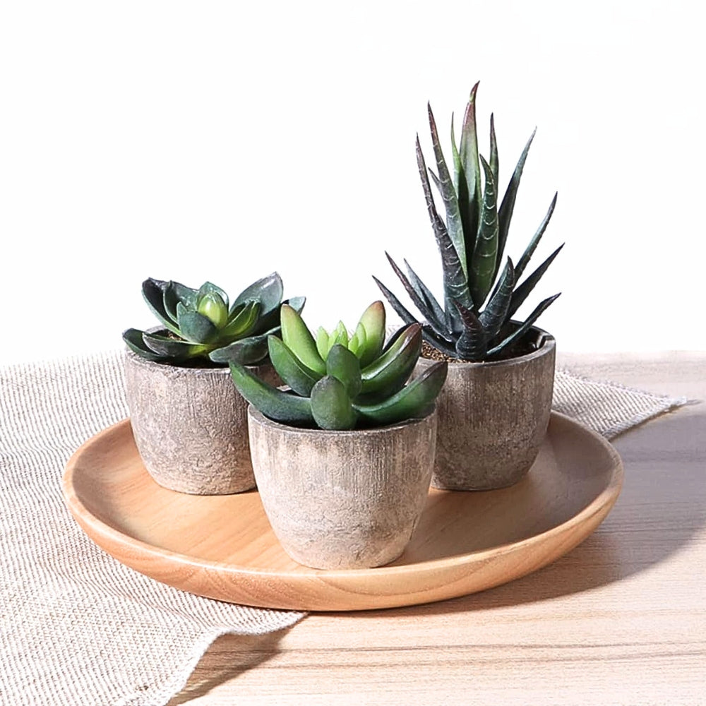 Verdea Artificial Succulent Plant Decor — product feature detail