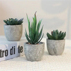 Verdea Artificial Succulent Plant Decor — product in use