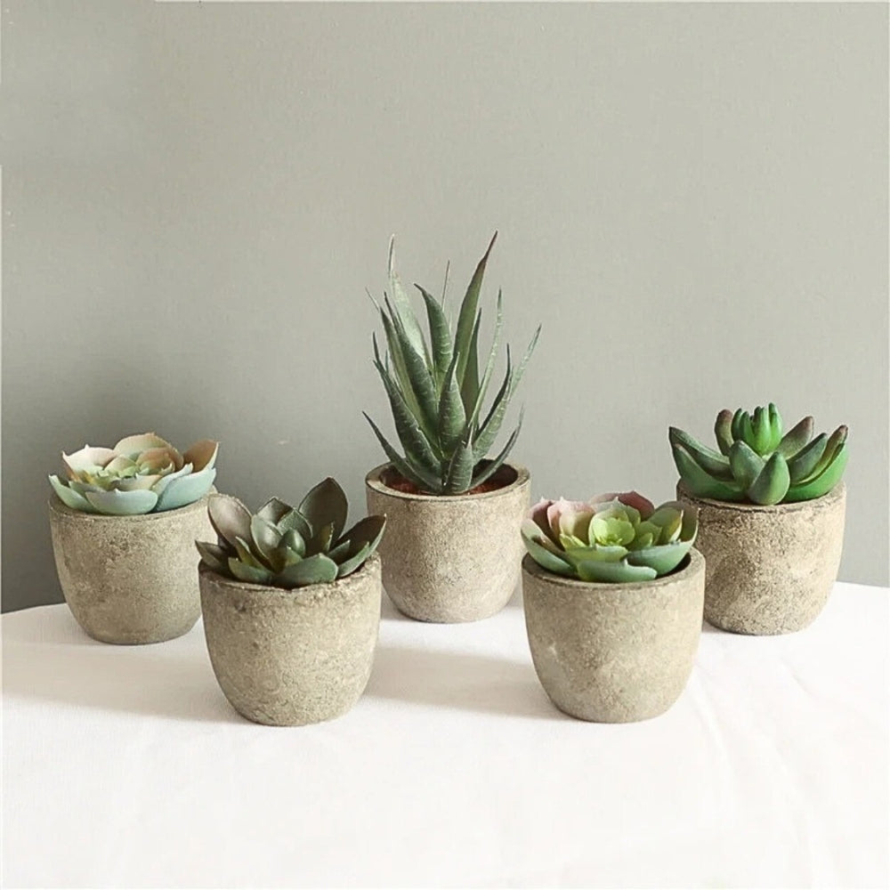 Verdea Artificial Succulent Plant Decor — size and scale reference