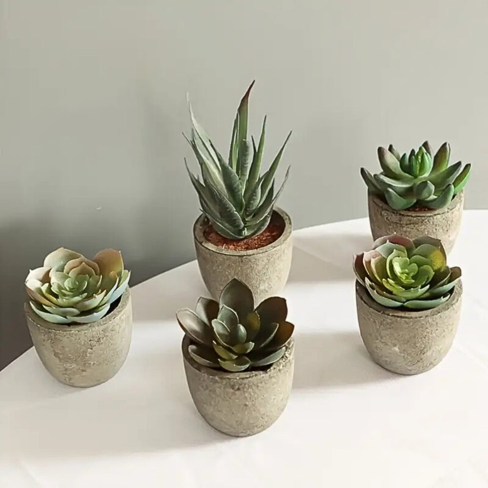 Verdea Artificial Succulent Plant Decor — main product photo