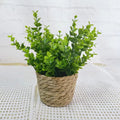 Bloom Ease Mini Artificial Potted Plant — additional view