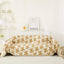 Golden Daisy