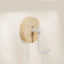 Ivory Curve