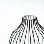 Sleek Metal Frame Vase — product close-up
