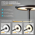 Lunox LED Rechargeable Desk Lamp — size and scale reference