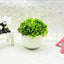 Tiny Grove