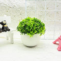 Minimalist Artificial Boxwood Bonsai Pot Decor — lifestyle shot