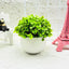 Rounded Sprout