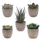 Verdea Artificial Succulent Plant Decor — material texture close-up