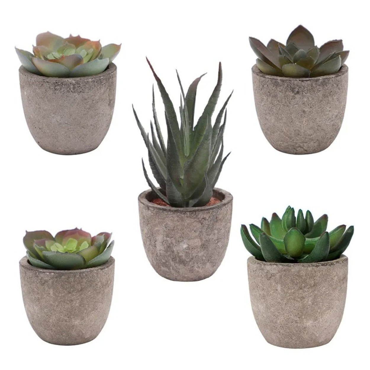 Verdea Artificial Succulent Plant Decor — material texture close-up