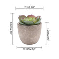Verdea Artificial Succulent Plant Decor — alternate angle view