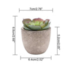 Verdea Artificial Succulent Plant Decor — alternate angle view