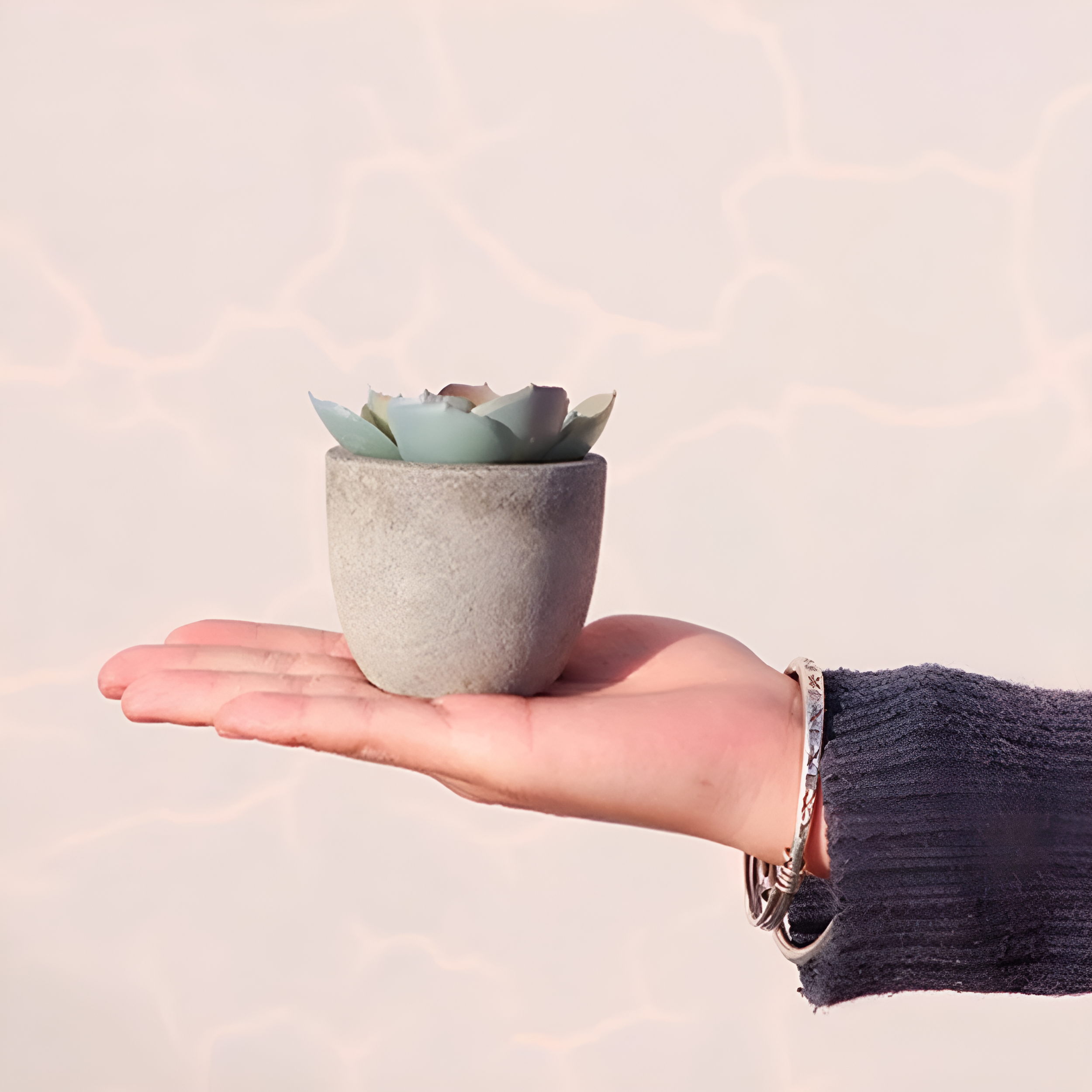 Verdea Artificial Succulent Plant Decor — additional view