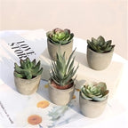 Verdea Artificial Succulent Plant Decor — product close-up