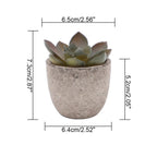 Verdea Artificial Succulent Plant Decor
