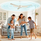 Ceiling Fan Air Filters — product in use