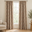Ivory Damask